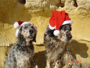 Kerst 2007