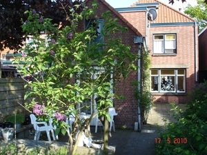 DSC07527