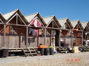 DSC06302