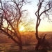 DSC00070 [640x480]