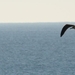 DSC00304 [640x480]