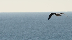 DSC00304 [640x480]