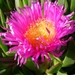 DSC01877 [640x480]