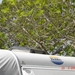 DSC06986 [640x480]