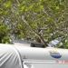 DSC06987 [640x480]