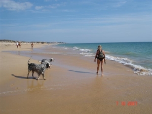 Strand Armacao in oktober