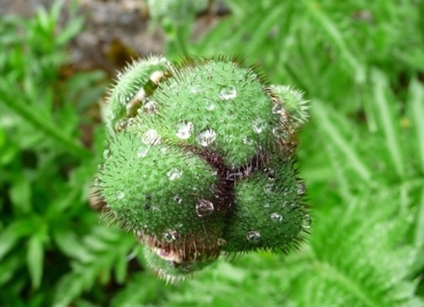 20100613_12