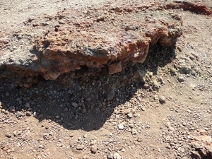 P1000646