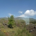 Lava velden