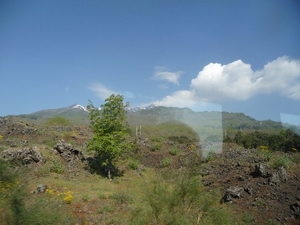 Lava velden
