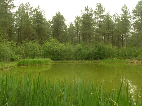 2010-06-13 KOOR HEIHOEVE (29)