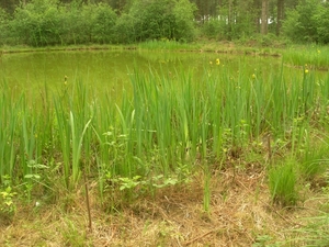 2010-06-13 KOOR HEIHOEVE (31)