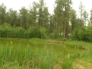 2010-06-13 KOOR HEIHOEVE (32)