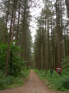 2010-06-13 KOOR HEIHOEVE (49)