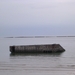 DSCN2550