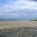 DSCN2571