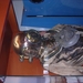 DSCN2586