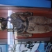DSCN2587