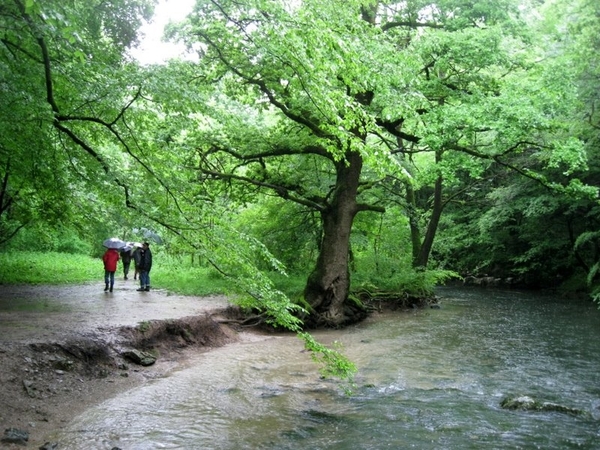 Slovenie Den Bunt 29 05 - 06 06 2010 072