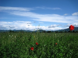 Slovenie Den Bunt 29 05 - 06 06 2010 088