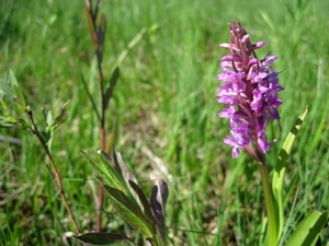 Slovenie Den Bunt 29 05 - 06 06 2010 107