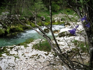 Slovenie Den Bunt 29 05 - 06 06 2010 195