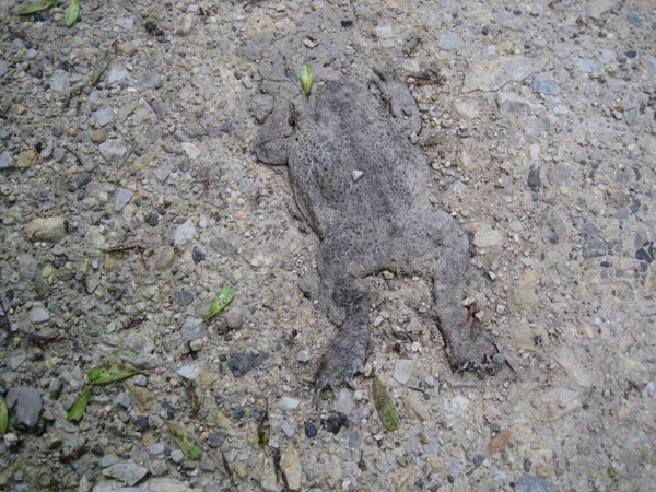 Slovenie Den Bunt 29 05 - 06 06 2010 295