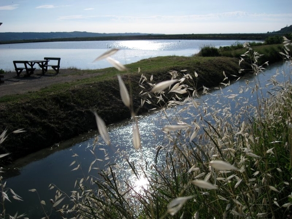 Slovenie Den Bunt 29 05 - 06 06 2010 507