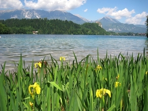 Slovenie Den Bunt 29 05 - 06 06 2010 528