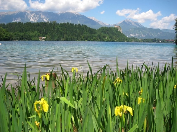 Slovenie Den Bunt 29 05 - 06 06 2010 528