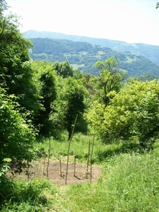 veldje 2