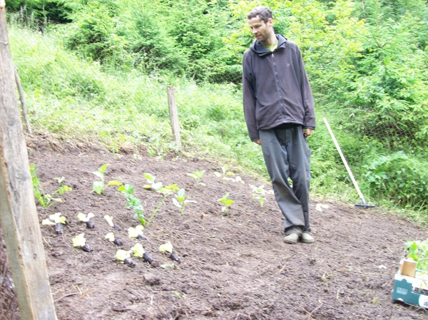 planten