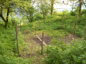 moestuin