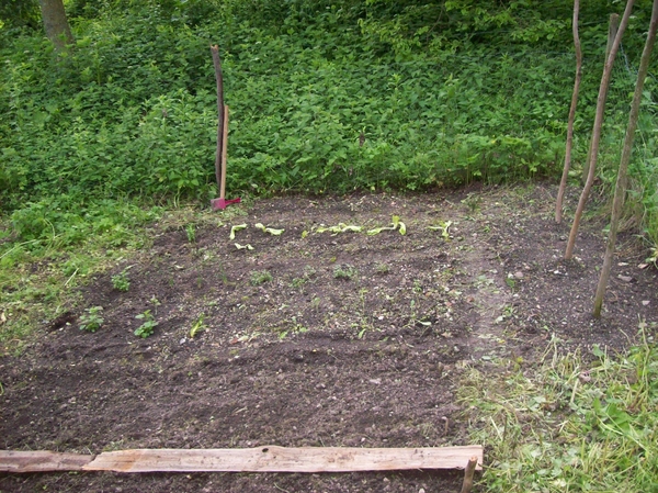 moestuin