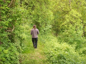 op wandel