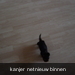 kanjer dec 2007