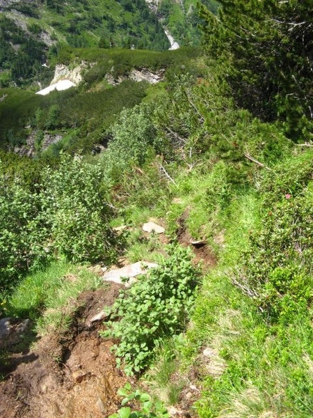 20090708 HoAlSp 058 n OsnabruckerH