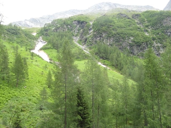 20090711 HoAlSp 232 AvSchmidhaus