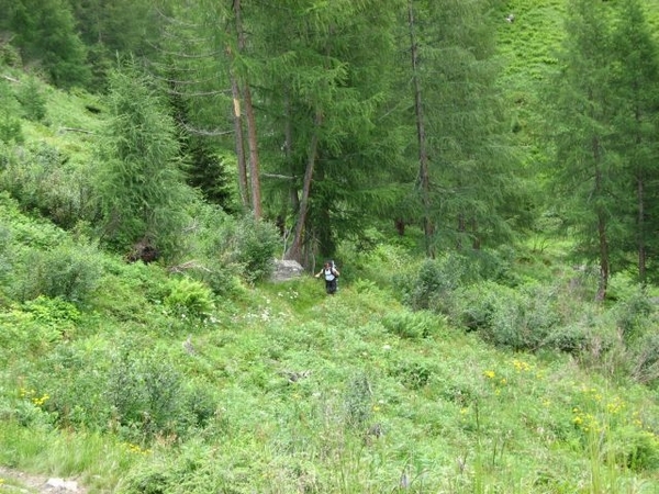 20090711 HoAlSp 236a AvSchmidhaus F Jan 0506