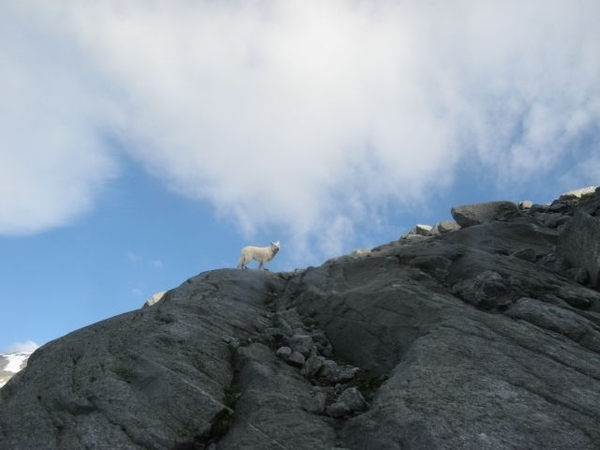 20090713 HoAlSp 388 Hochalmspitze