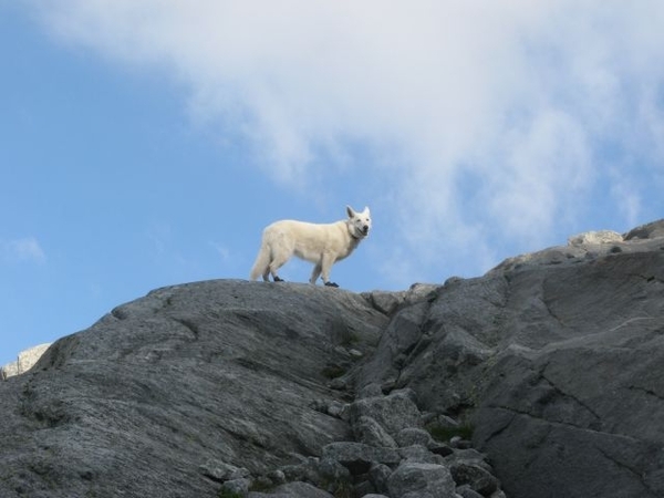 20090713 HoAlSp 389 Hochalmspitze