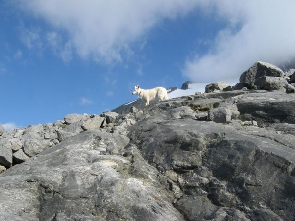 20090713 HoAlSp 390 Hochalmspitze