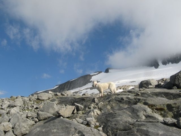 20090713 HoAlSp 391 Hochalmspitze