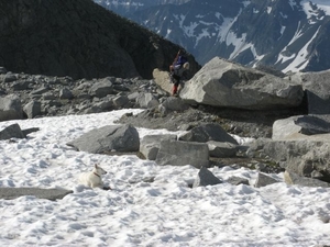 20090713 HoAlSp 393 Hochalmspitze