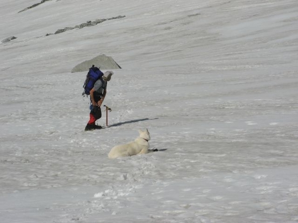 20090713 HoAlSp 398 Hochalmspitze