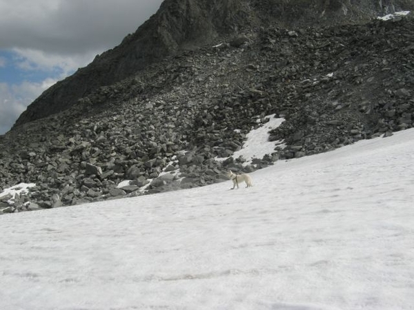 20090713 HoAlSp 423 VillacherHut