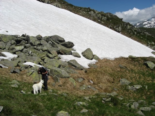 20090714 HoAlSp 454a Hochalmspitze F Jan 0602