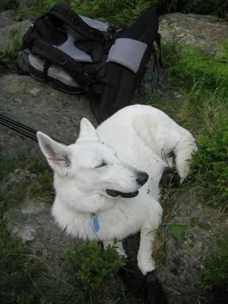 20090714 HoAlSp 465 Aichholzerhut