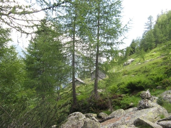 20090714 HoAlSp 467 Aichholzerhut