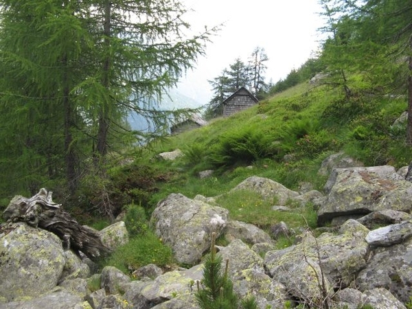 20090714 HoAlSp 471 Aichholzerhut